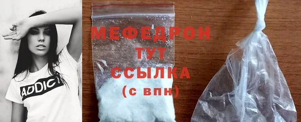 индика Богородск