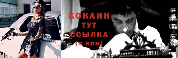 индика Богородск