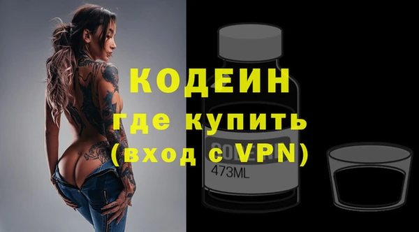 индика Богородск