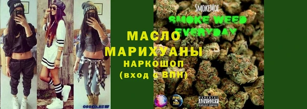 индика Богданович