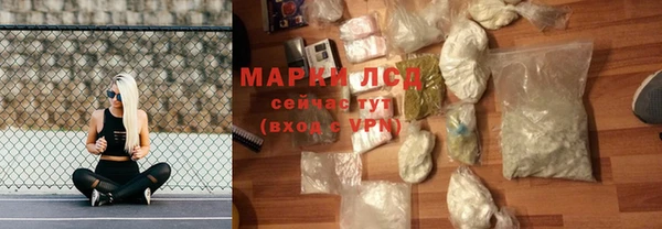 индика Богданович