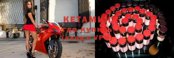 индика Богданович