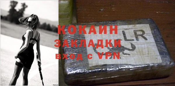 крисы Богородицк