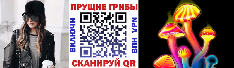 Псилоцибиновые грибы прущие грибы  Дигора 
