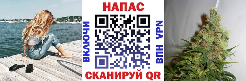 Канабис семена Дигора